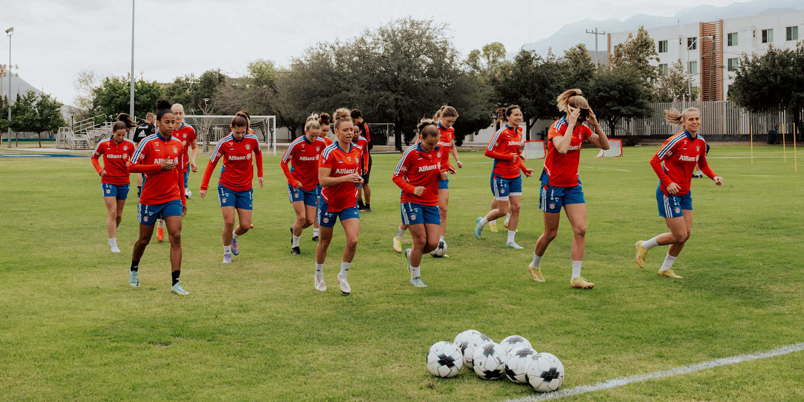 Tigres vs bayern live stream store